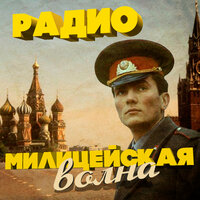 Радио милицейская волна