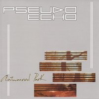 Pseudo Echo